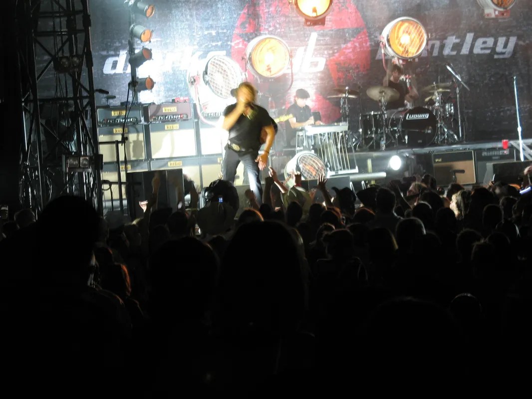 A crowd of people at a concert image.