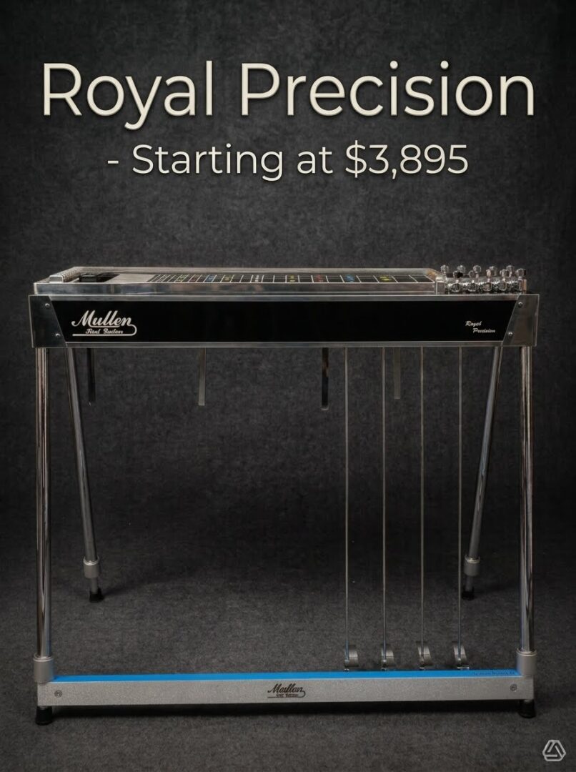 Pedal Steel Guitar 2